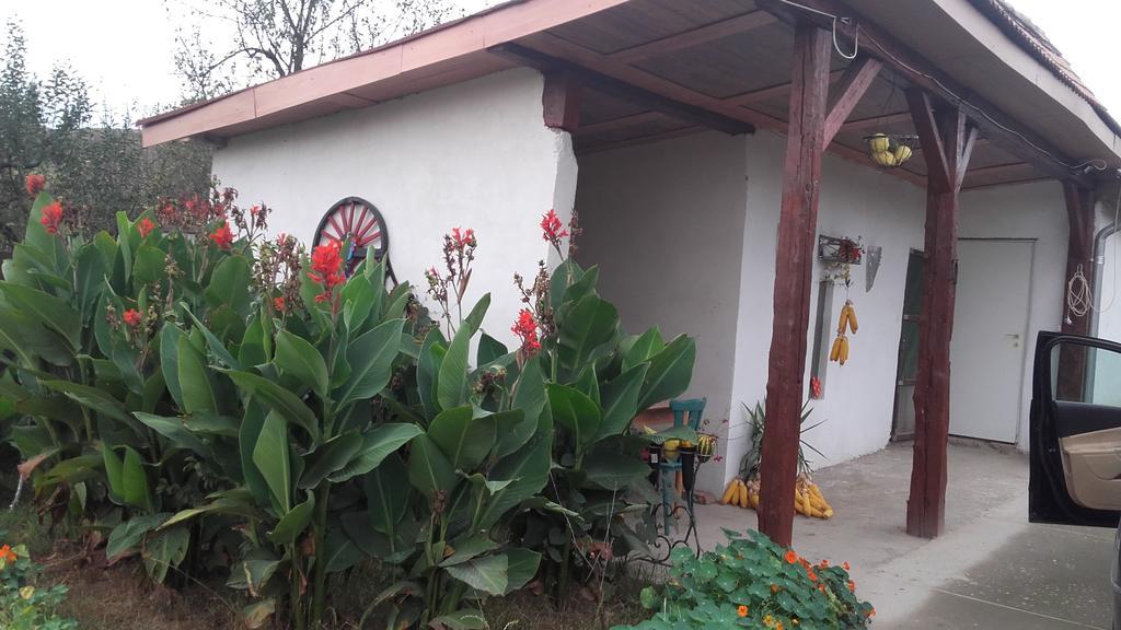 Legenda Anotimpurilor Villa Alma Exterior foto