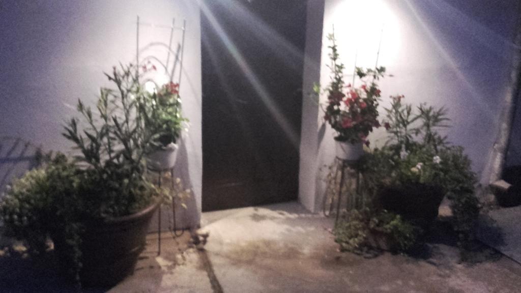 Legenda Anotimpurilor Villa Alma Exterior foto