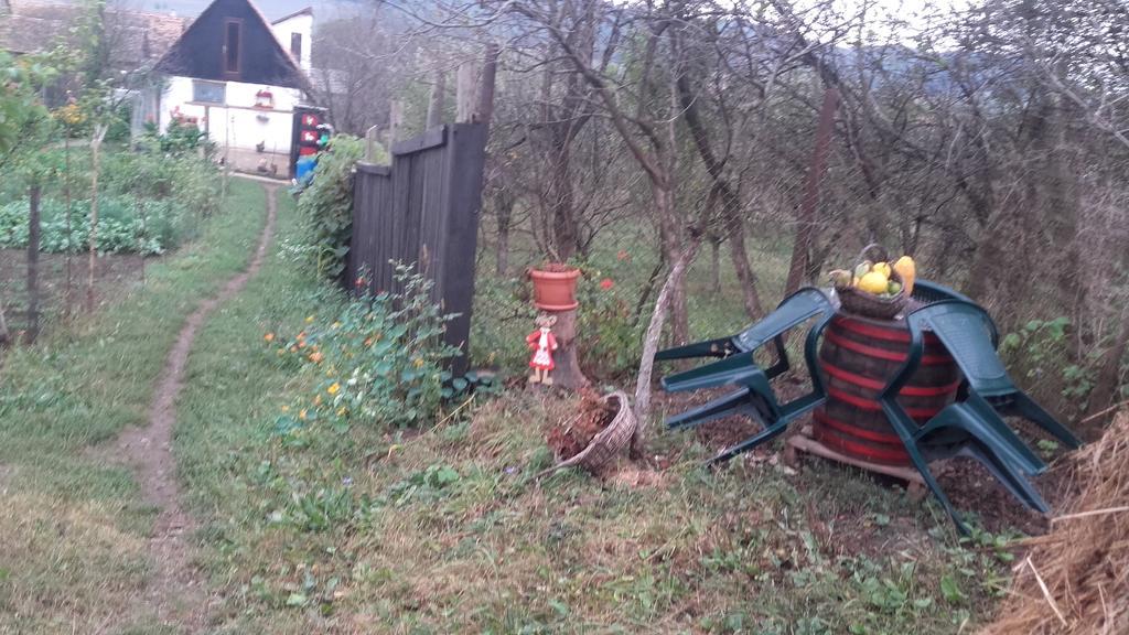 Legenda Anotimpurilor Villa Alma Exterior foto