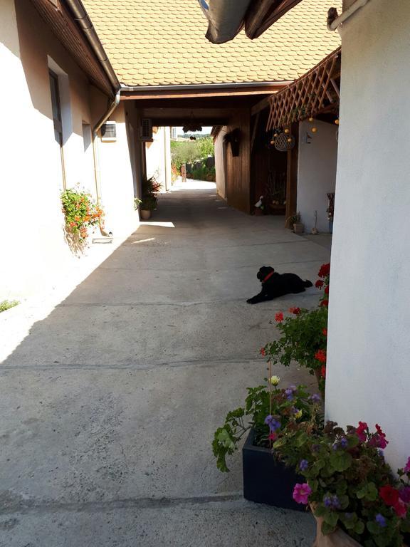 Legenda Anotimpurilor Villa Alma Exterior foto