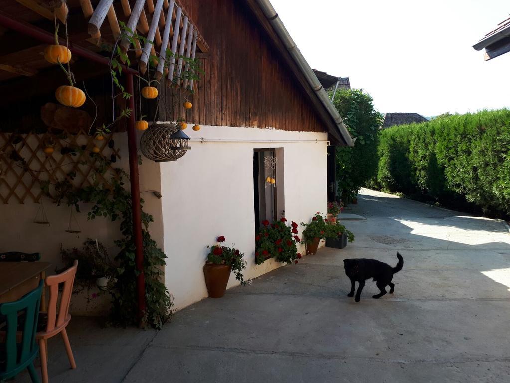 Legenda Anotimpurilor Villa Alma Exterior foto