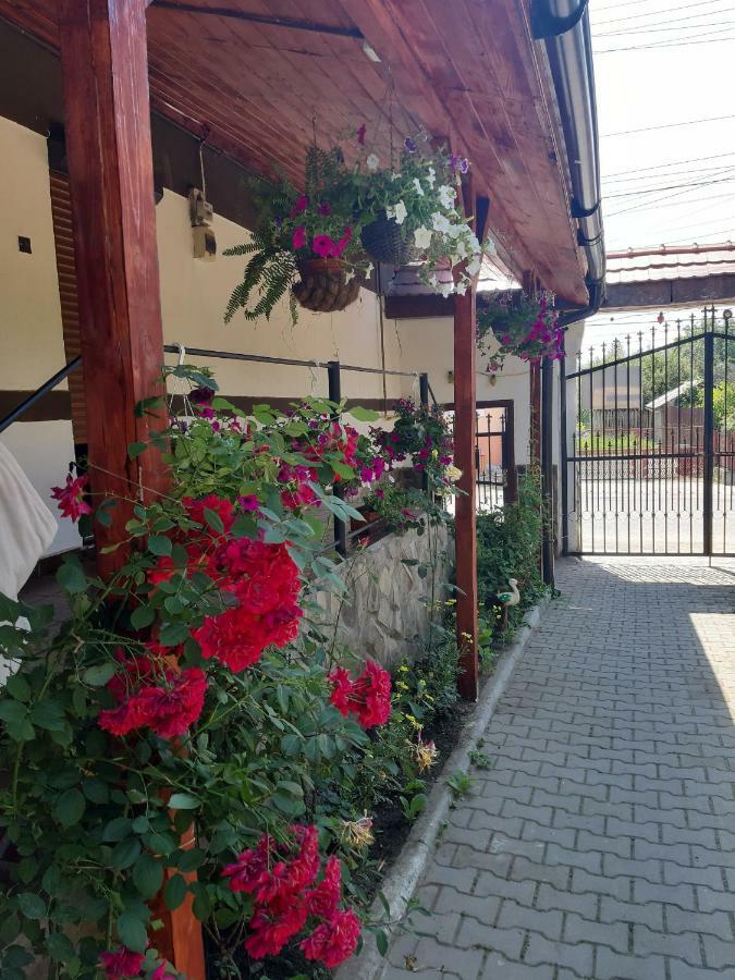Legenda Anotimpurilor Villa Alma Exterior foto