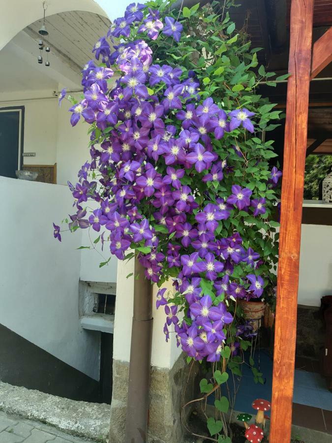 Legenda Anotimpurilor Villa Alma Exterior foto